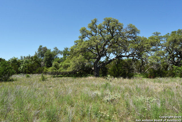 431 Oak Haven, Spring Branch, Texas image 15