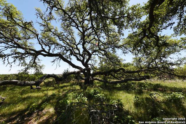 431 Oak Haven, Spring Branch, Texas image 16