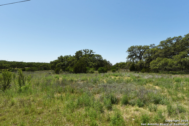 431 Oak Haven, Spring Branch, Texas image 17