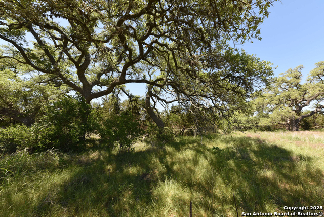 431 Oak Haven, Spring Branch, Texas image 2