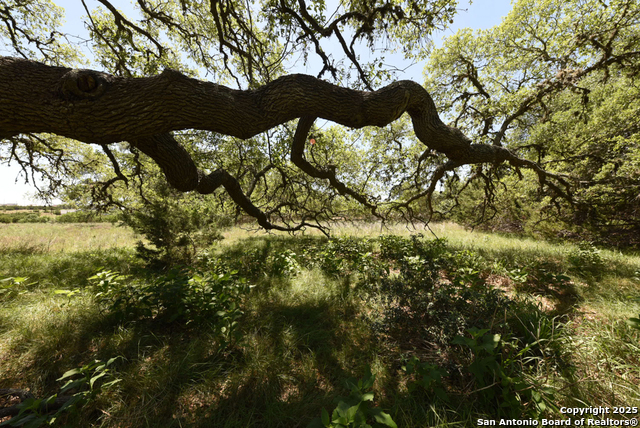 431 Oak Haven, Spring Branch, Texas image 7