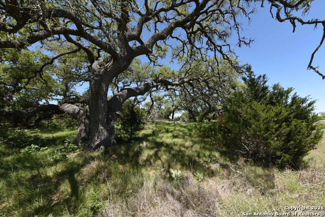 431 Oak Haven, Spring Branch, Texas image 9