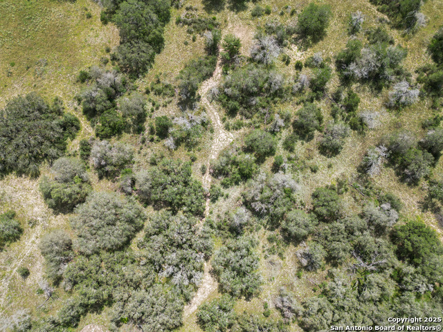 4314 Eichman, Von Ormy, Texas image 4