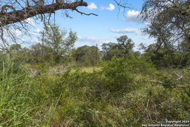 4314 Eichman, Von Ormy, Texas image 5