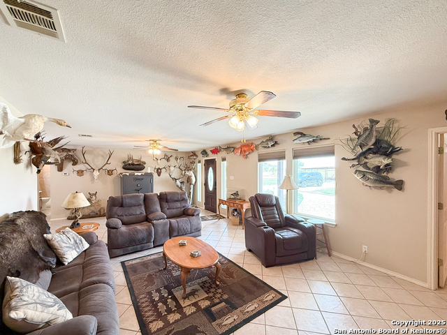 1185 County Road 7718, Devine, Texas image 6