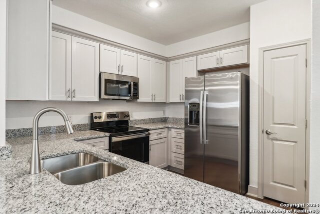 10219 Tulipwood Run, San Antonio, Texas image 9