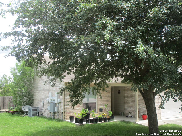 3028 Lodgepole, New Braunfels, Texas image 2