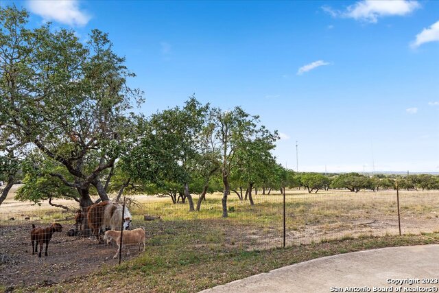 300 Logans Way, Blanco, Texas image 38