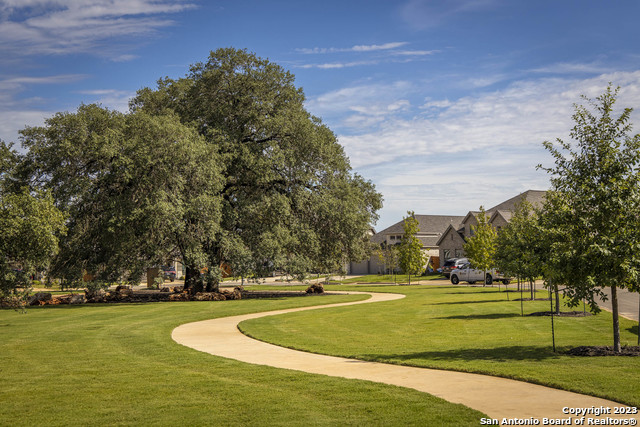 1811 Bighorn Trail, New Braunfels, Texas image 14
