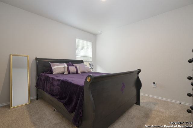 921 Gerardia Ct, Seguin, Texas image 19