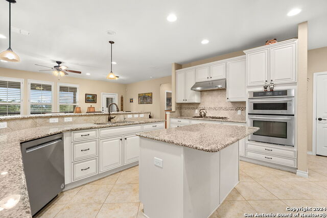 3925 Claret Cup, San Antonio, Texas image 17