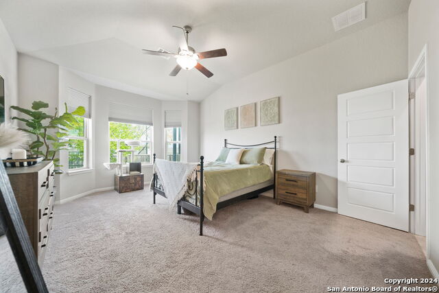 4914 Drovers Path, Saint Hedwig, Texas image 14