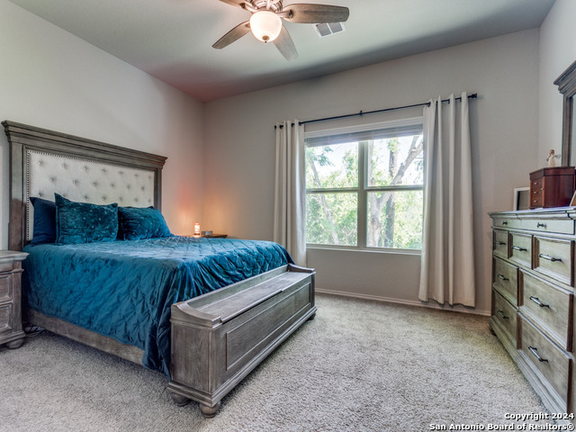 5306 Riley Way, Saint Hedwig, Texas image 14