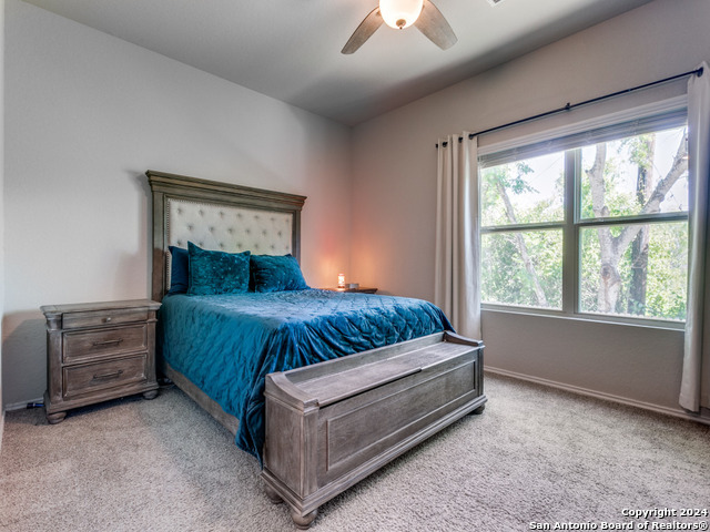 5306 Riley Way, Saint Hedwig, Texas image 15