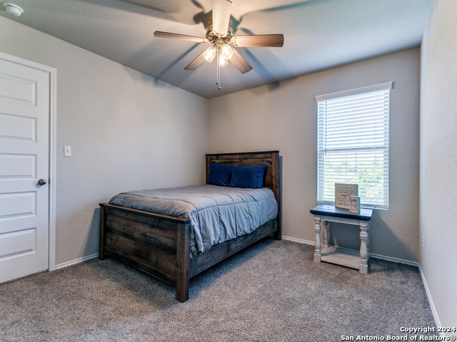 5306 Riley Way, Saint Hedwig, Texas image 21