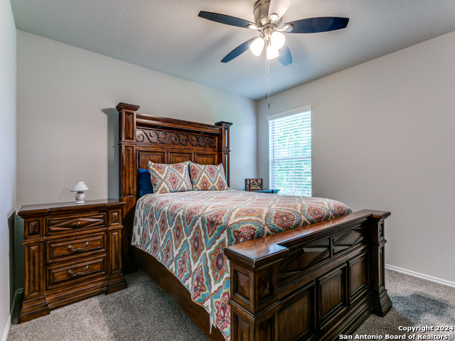 5306 Riley Way, Saint Hedwig, Texas image 22