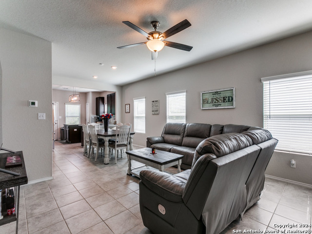 5306 Riley Way, Saint Hedwig, Texas image 6