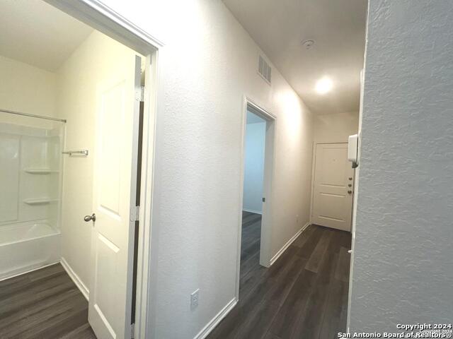 5106 Firefly Hls, Saint Hedwig, Texas image 16