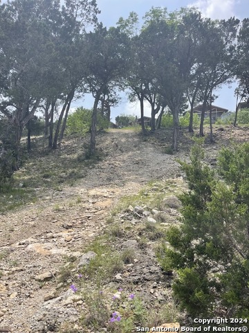 1225 Riviera Dr, Canyon Lake, Texas image 12