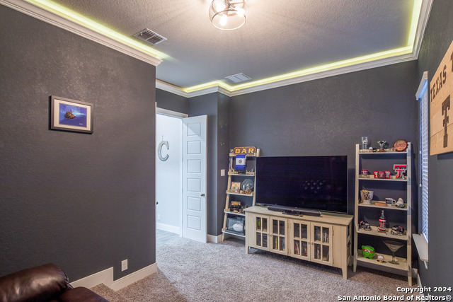 920 Carriage Loop, New Braunfels, Texas image 21
