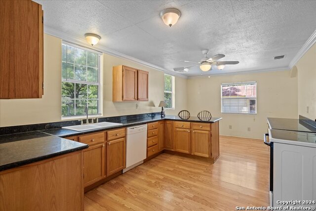 850 NE Ewelling Lane, New Braunfels, Texas image 6