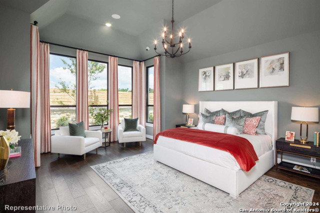 1923 Privet, New Braunfels, Texas image 19