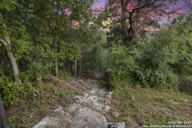 25242 Paleface Lake, SPICEWOOD, Texas image 47