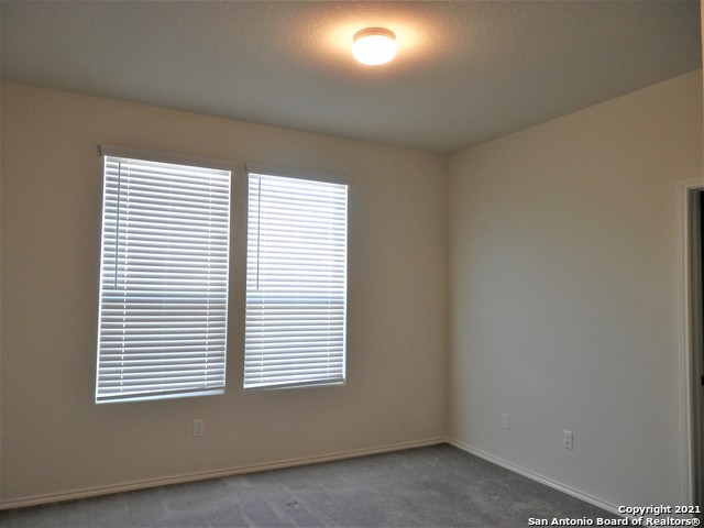 334 Mistflower, New Braunfels, Texas image 6