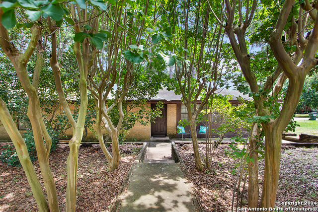 117 Plum St., Bastrop, Texas image 2