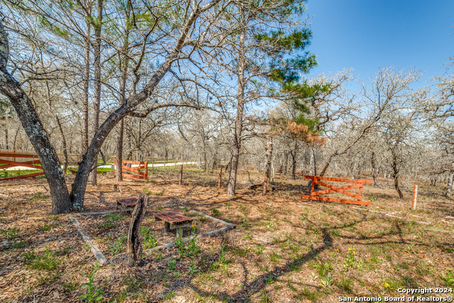 683 Cherry Ridge, Floresville, Texas image 2