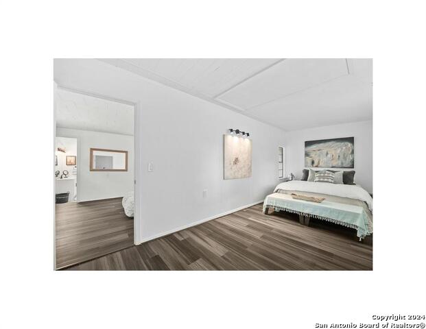 1217 E Lake Shore, SPICEWOOD, Texas image 11
