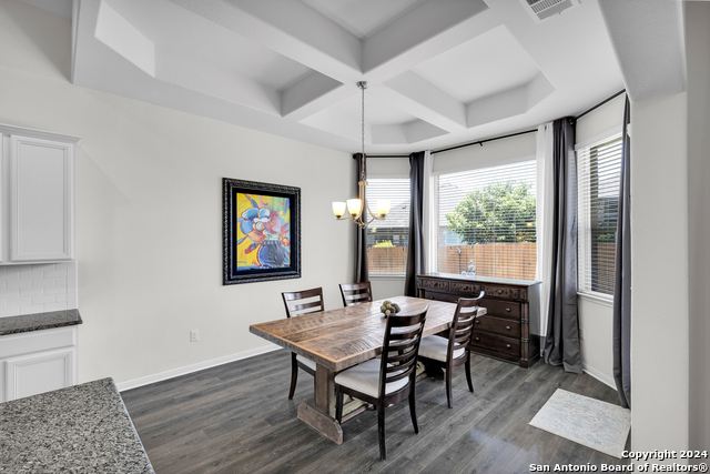 18304 Orvieto Dr, PFLUGERVILLE, Texas image 14