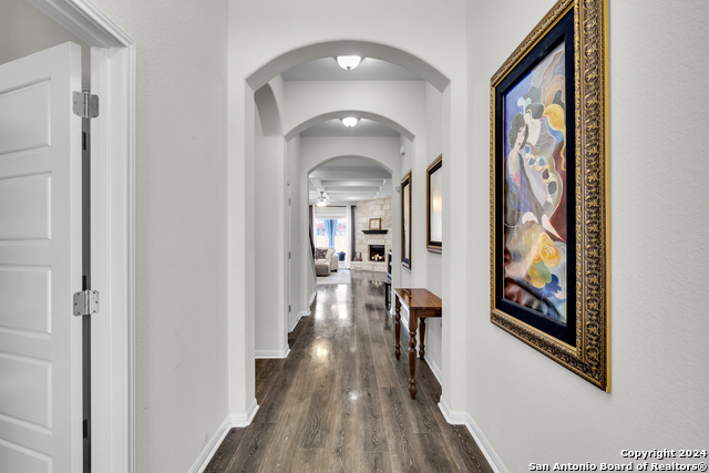 18304 Orvieto Dr, PFLUGERVILLE, Texas image 2