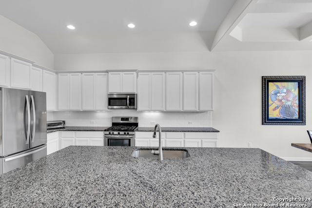 18304 Orvieto Dr, PFLUGERVILLE, Texas image 21