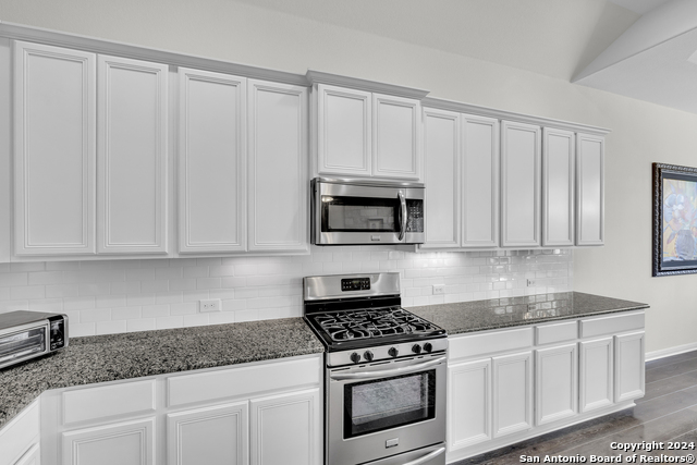 18304 Orvieto Dr, PFLUGERVILLE, Texas image 28