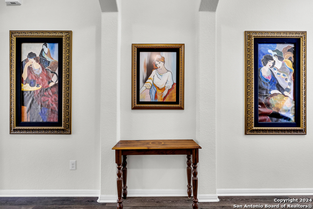 18304 Orvieto Dr, PFLUGERVILLE, Texas image 3