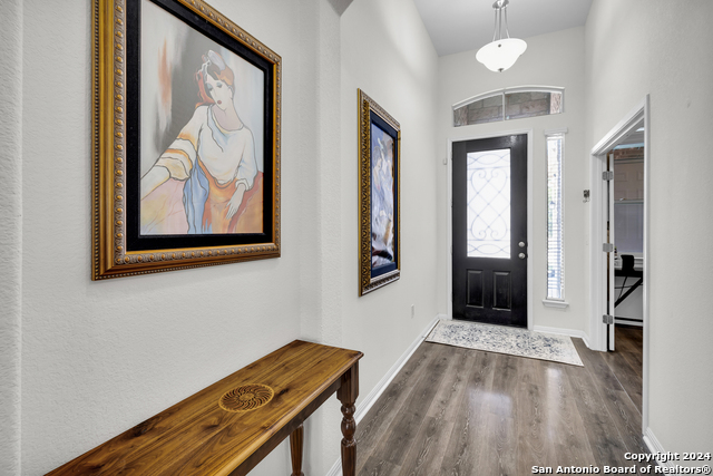 18304 Orvieto Dr, PFLUGERVILLE, Texas image 5
