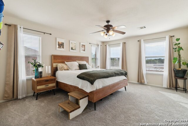 2510 Grayson Cir, San Antonio, Texas image 24