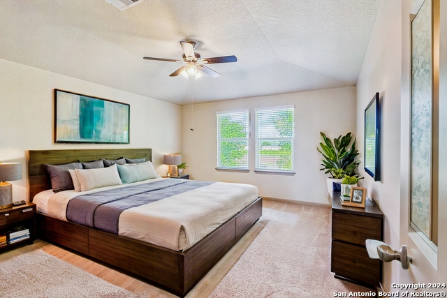 574 Briggs Dr, New Braunfels, Texas image 5