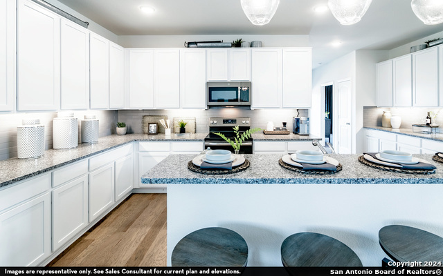 988 Gray Cloud, New Braunfels, Texas image 10