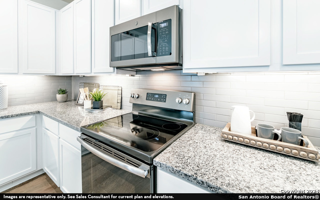 988 Gray Cloud, New Braunfels, Texas image 11