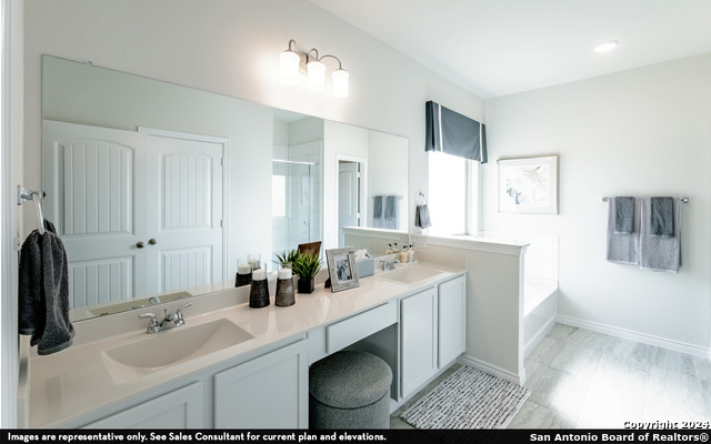 988 Gray Cloud, New Braunfels, Texas image 15