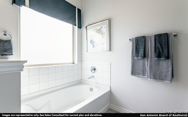 988 Gray Cloud, New Braunfels, Texas image 16