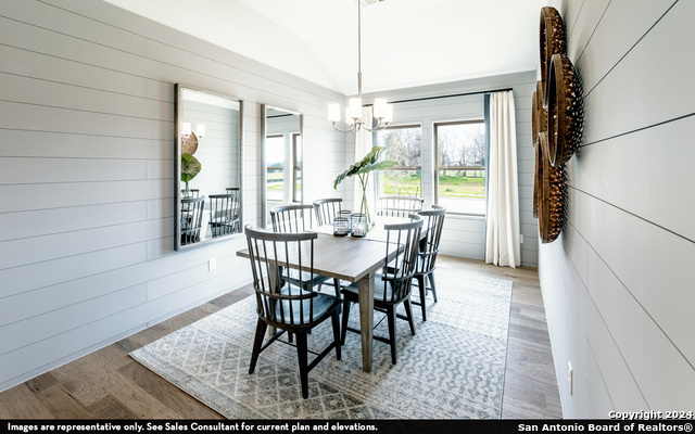 988 Gray Cloud, New Braunfels, Texas image 3