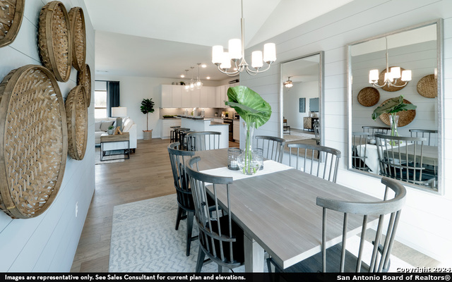 988 Gray Cloud, New Braunfels, Texas image 4