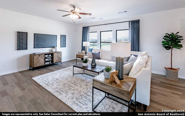 988 Gray Cloud, New Braunfels, Texas image 5