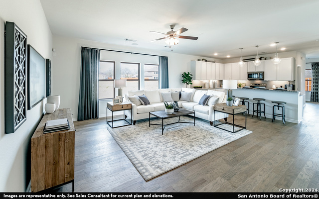 988 Gray Cloud, New Braunfels, Texas image 6