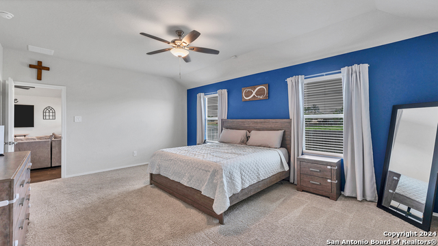 925 Nodding Nixie, Seguin, Texas image 14