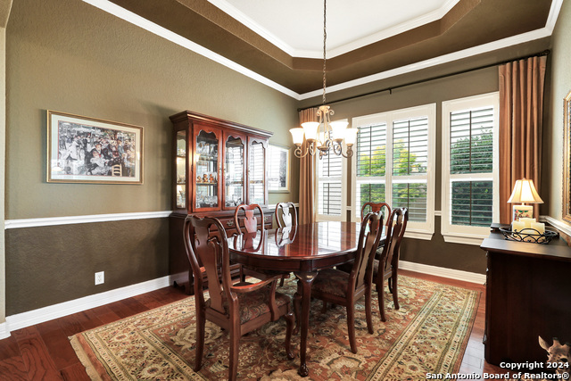 12527 Green Darner, San Antonio, Texas image 14