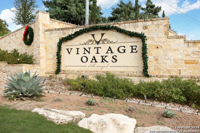 1126 Vintage Way, New Braunfels, Texas image 8